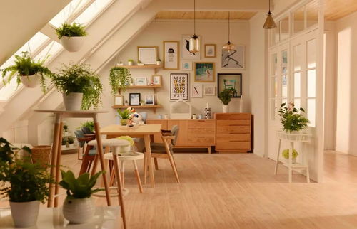 餐廳吊頂?shù)拿卦E 情人節(jié)無(wú)需去飯店，家里已經(jīng)夠浪漫